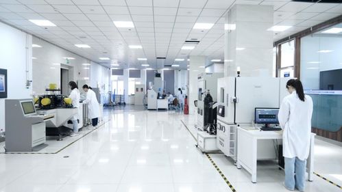 新技術(shù)激活新潛力 東北石油大學(xué)賦能國(guó)家能源安全與網(wǎng)絡(luò)信息安全軟件開發(fā)