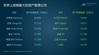 小烏龜學投資系列七 撥開迷霧，慧眼識珠——如何比較與區分海外股權投資機構